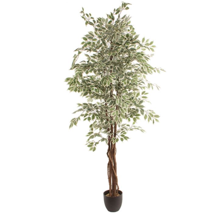 Artificial plant FICUS 2.20m